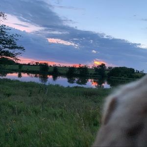 Meet your Posher, Catherine